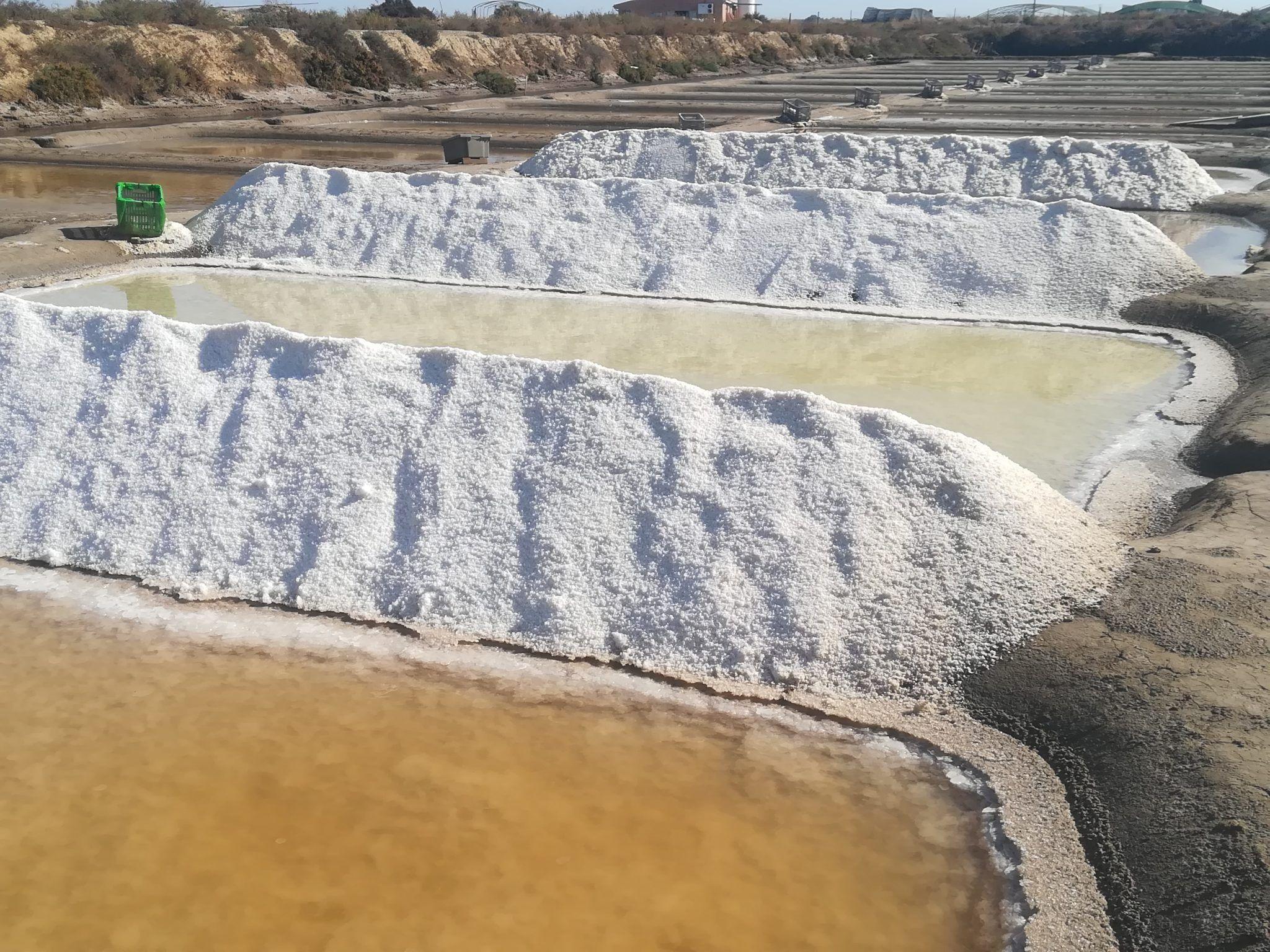 Wild Algarve - salt pans