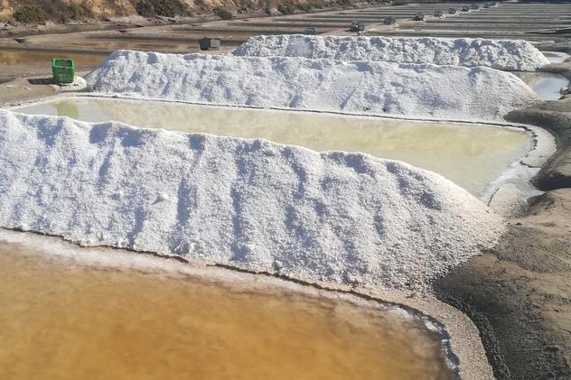 Wild Algarve - salt pans