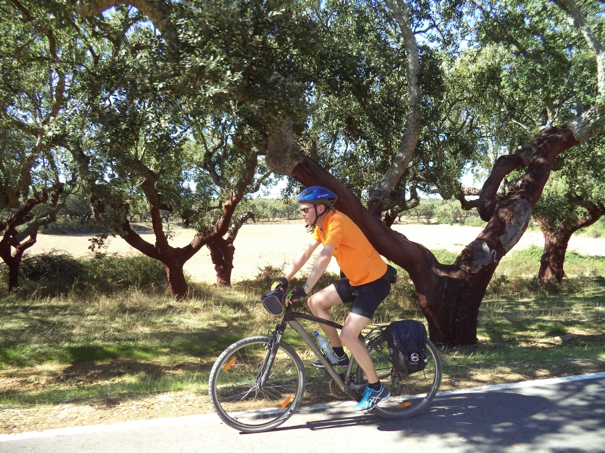 cycling past cork trees