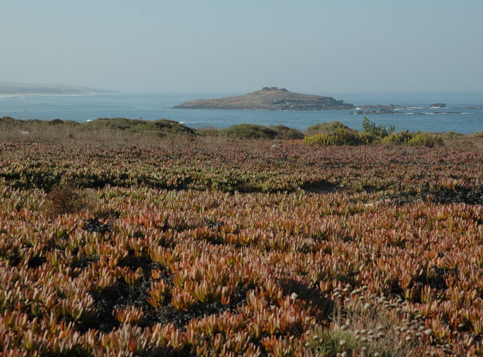 Along the Coast Bike Tour - island view