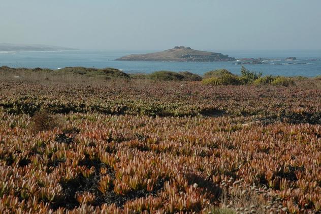 Along the Coast Bike Tour - island view