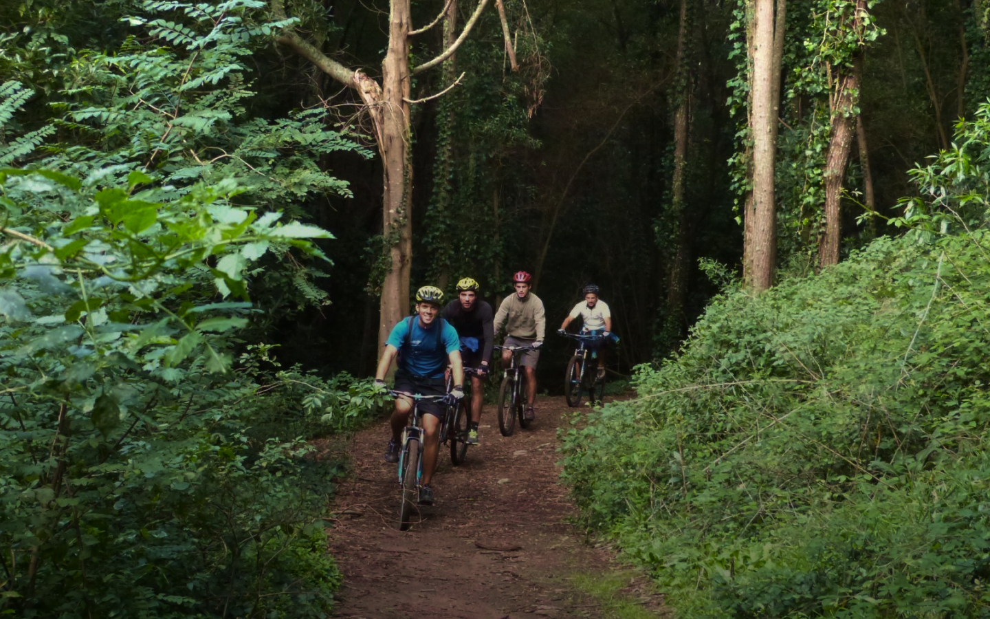 Sintra Mountain Bike Tour