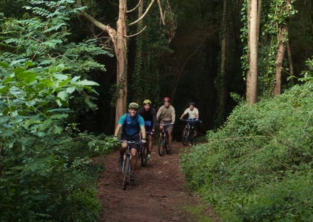 Sintra Mountain Bike Tour