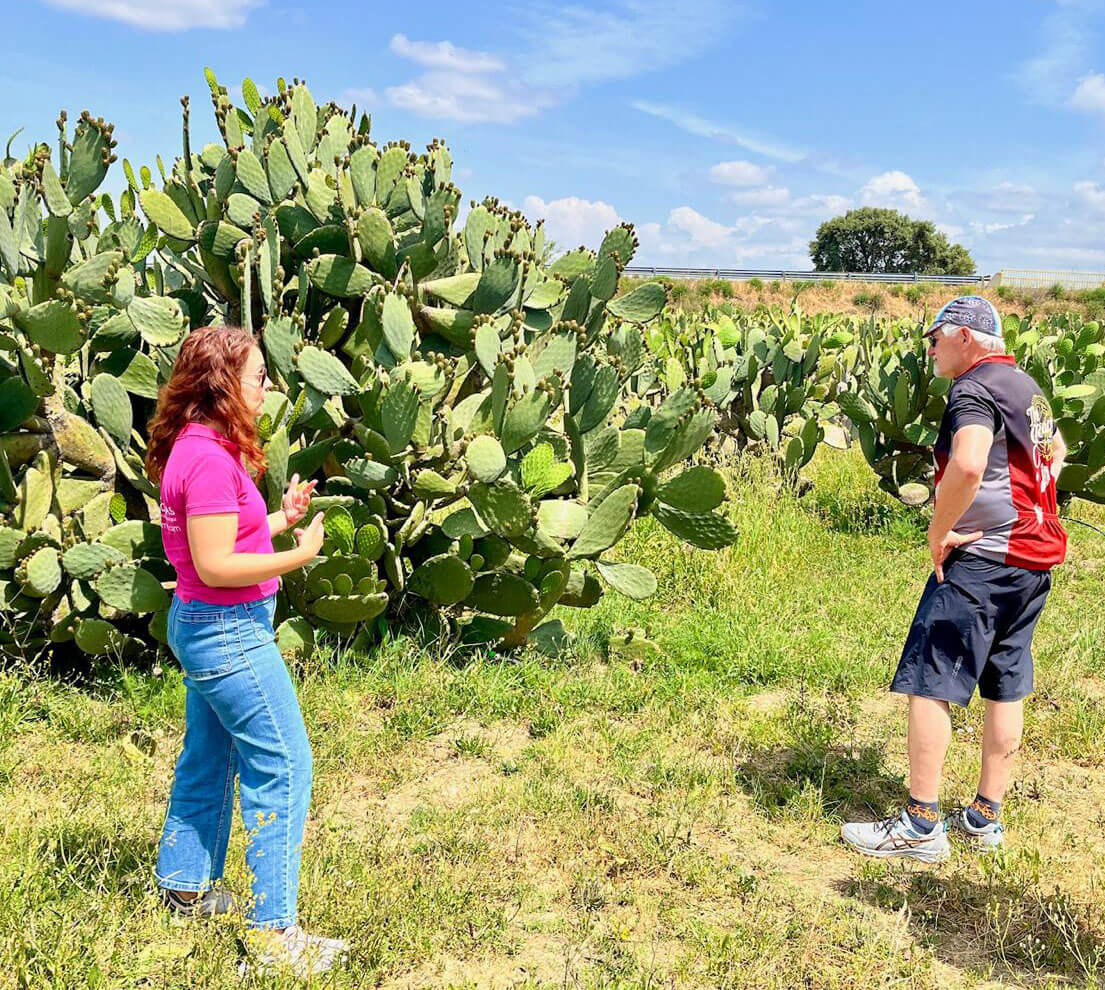 cyclist visiting prick pear farm in alentejo