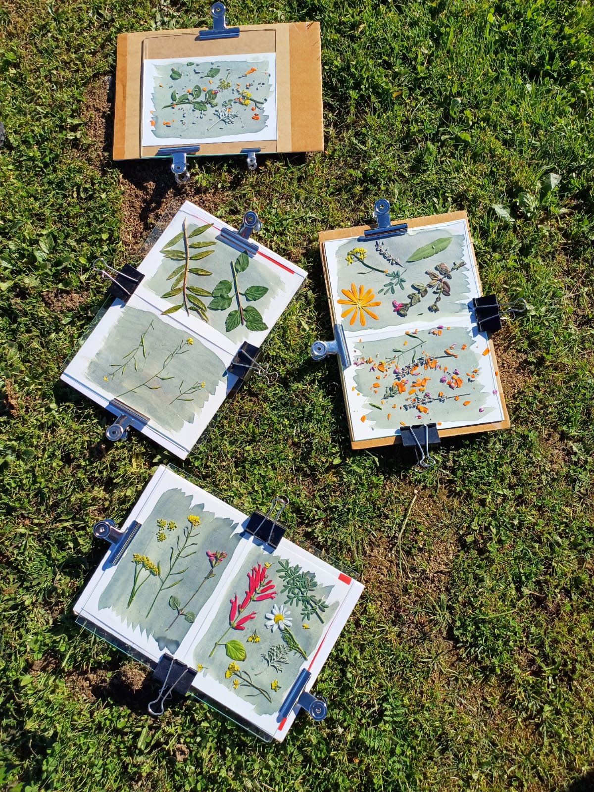 workshop herbarium