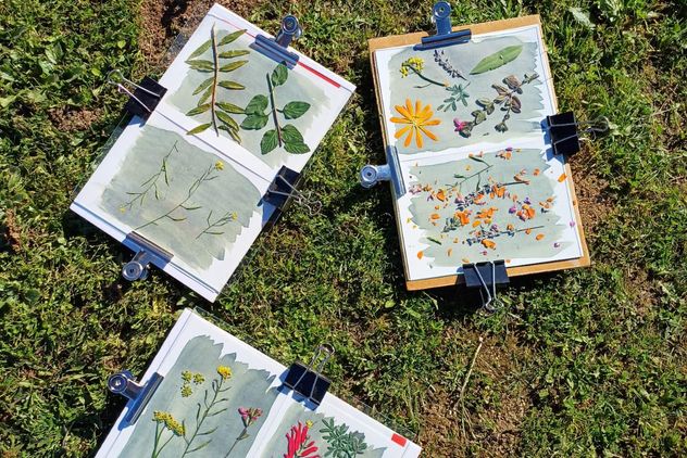 workshop herbarium