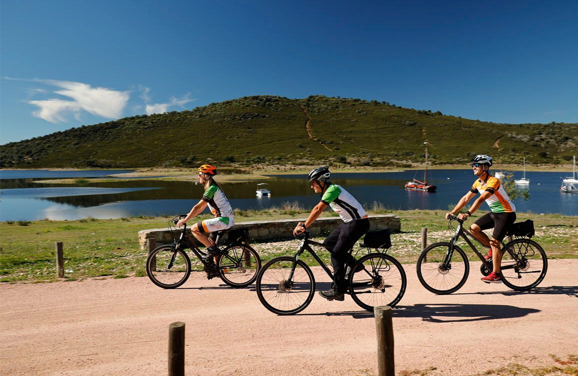 Bike and Tasting