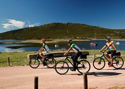 Bike and Tasting
