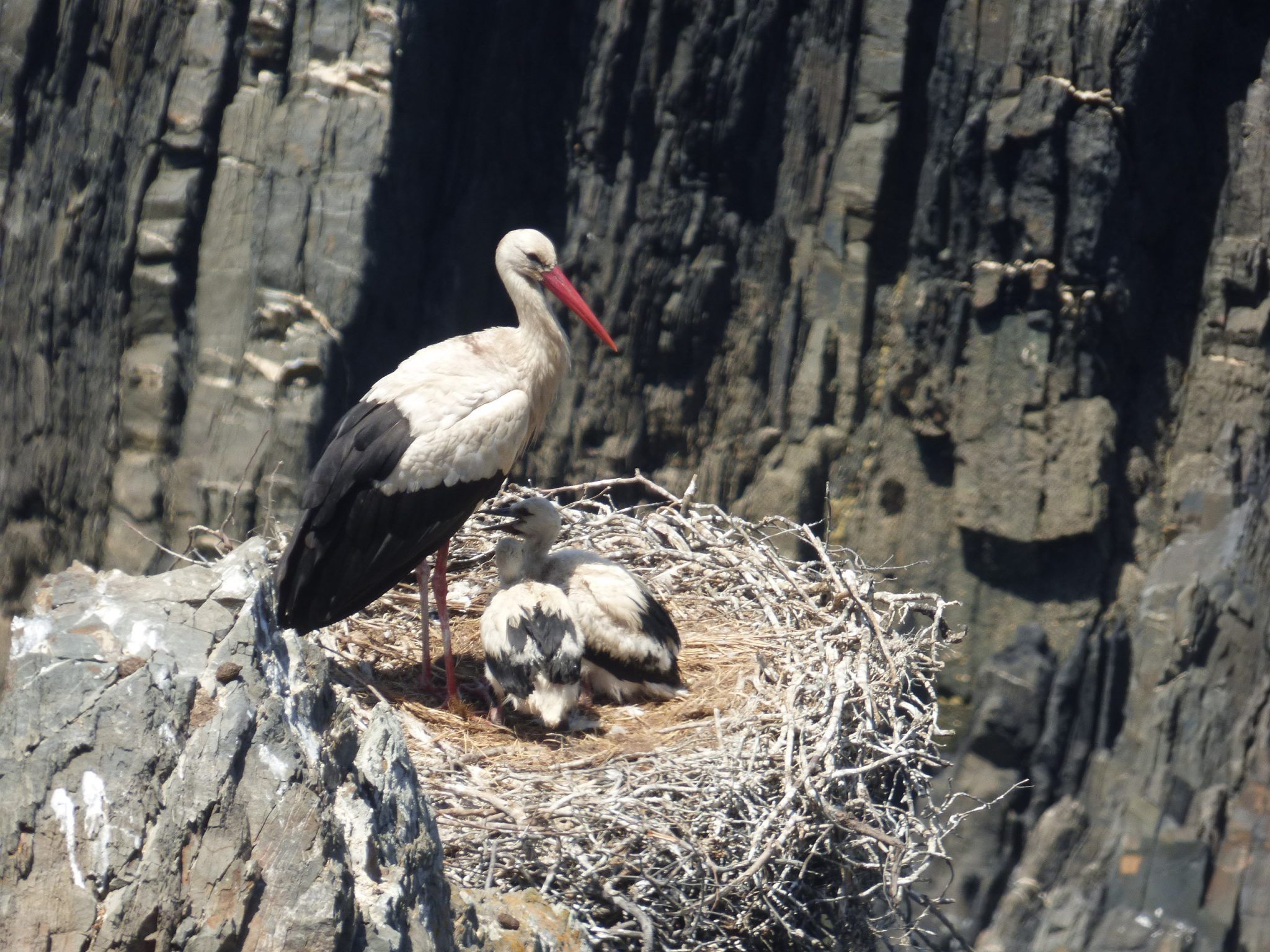 Along the Coast Bike Tour - fauna