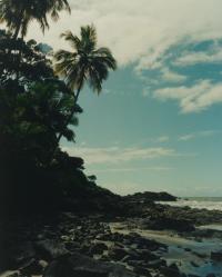 Cornelius Kaess | Joséphine Larere Architecte