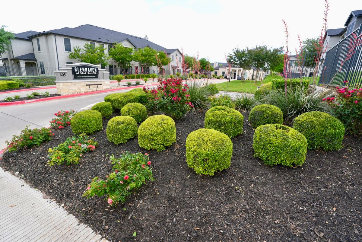 Apartment Community Entrance Landscaping | Hutto, TX Commercial Landscaping