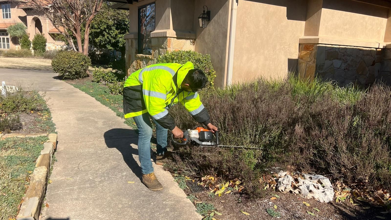 Winter Garden Care