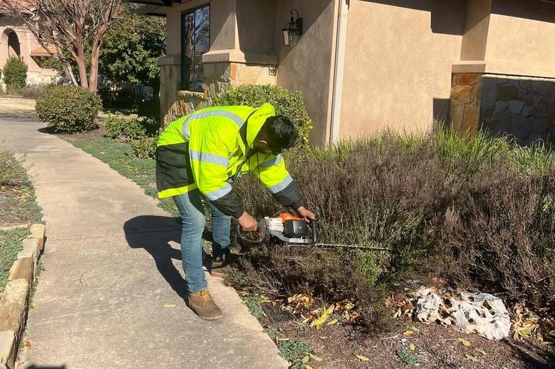 Winter Garden Care