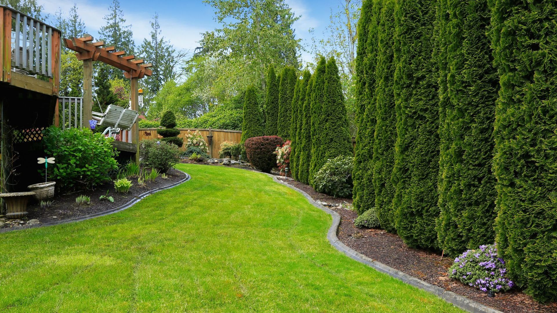Why You Should Invest in a Lawn Maintenance Service