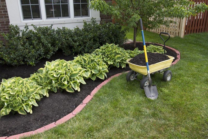 7 Expert Tips for Lawn Maintenance