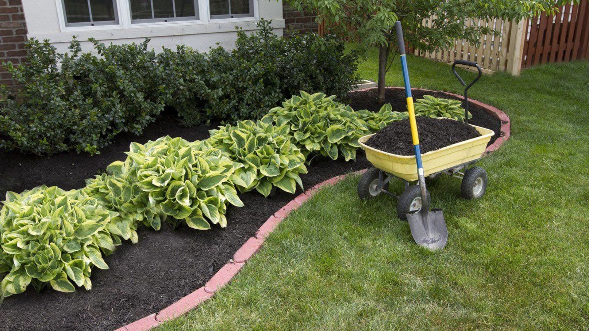 7 Expert Tips for Lawn Maintenance