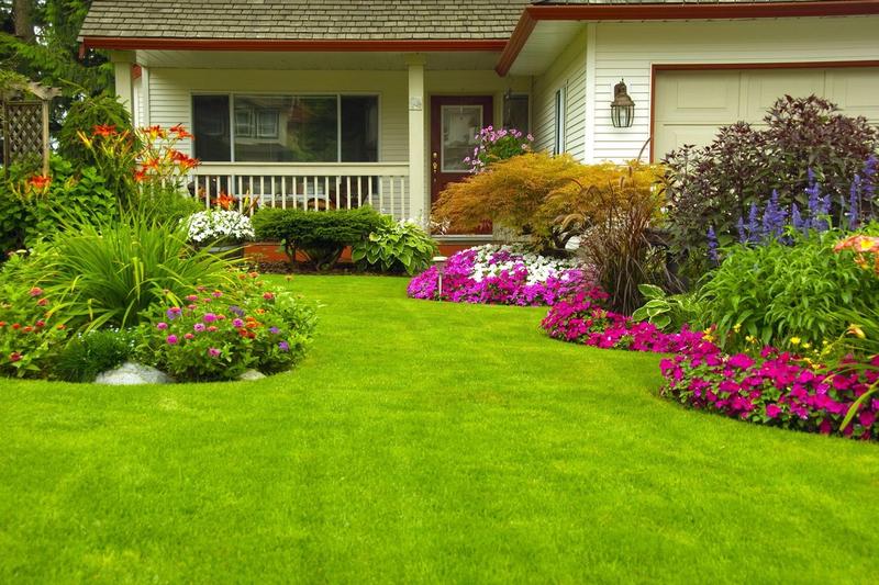 How to Boost Your Home's Value With Landscaping Design Services