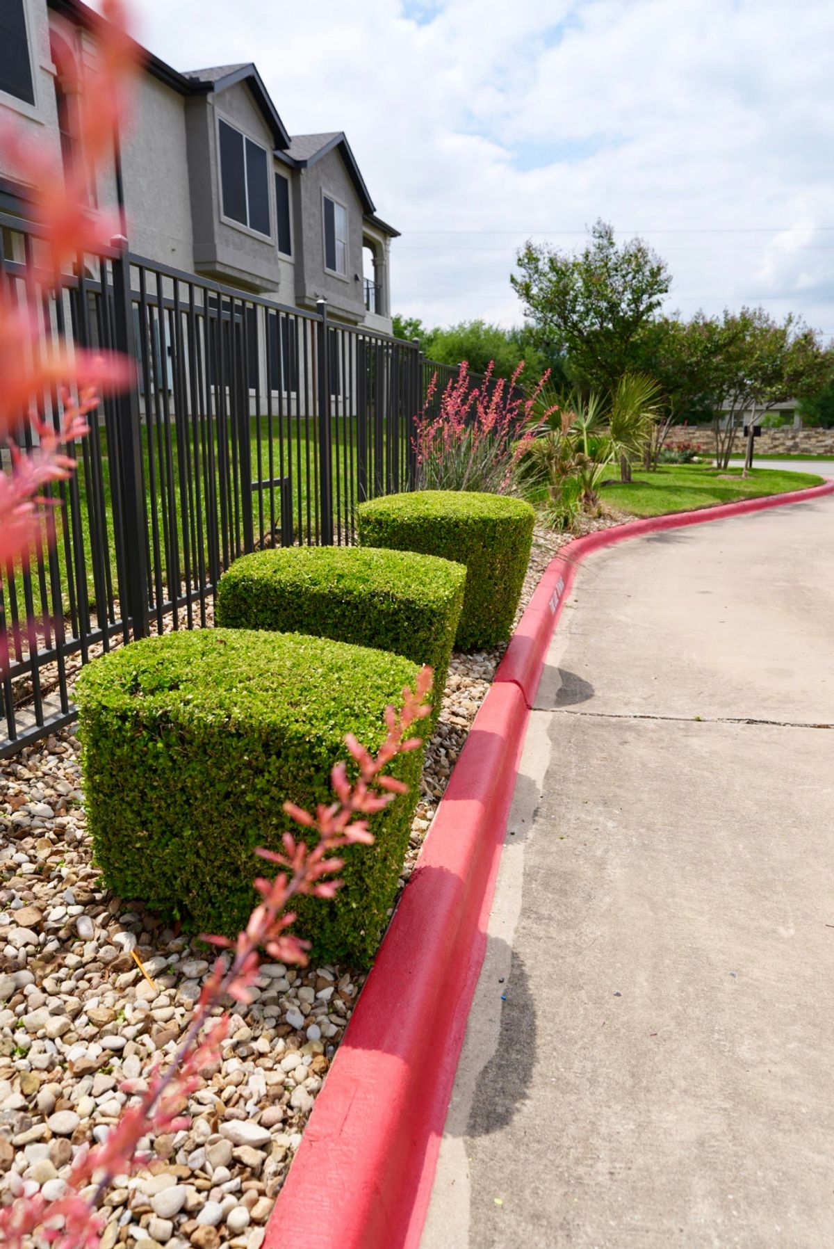 Formal Boxwood Hedge Row | Hutto, TX Commercial Landscaping