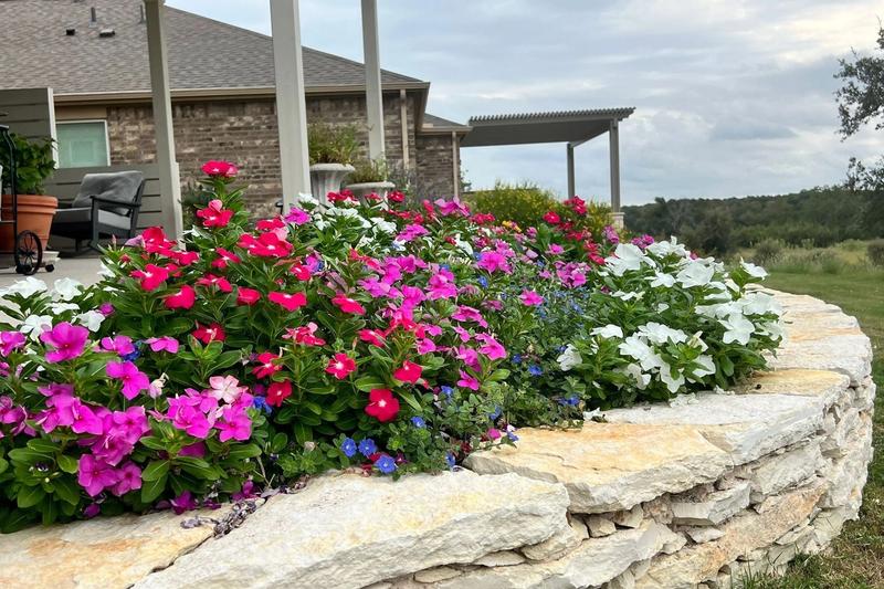 Planning Your Garden for the New Year