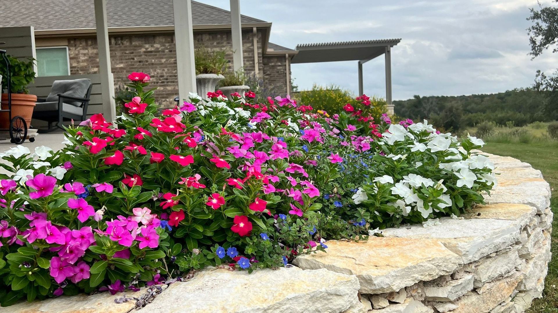 Planning Your Garden for the New Year