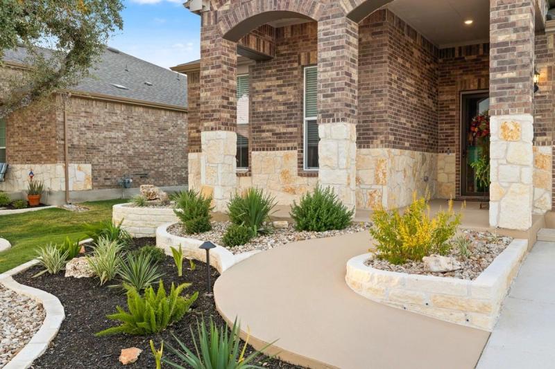 Low-Maintenance Plants for Busy Homeowners