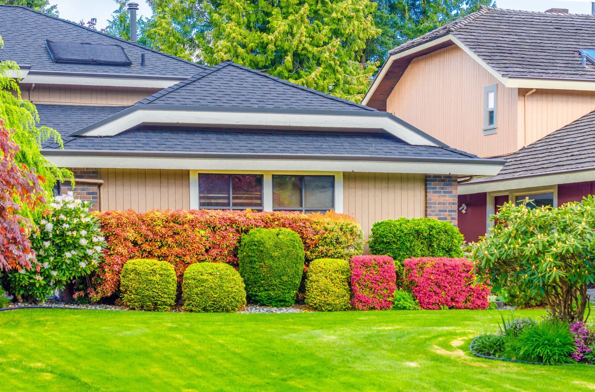 How to Avoid Common Lawn Care Mistakes