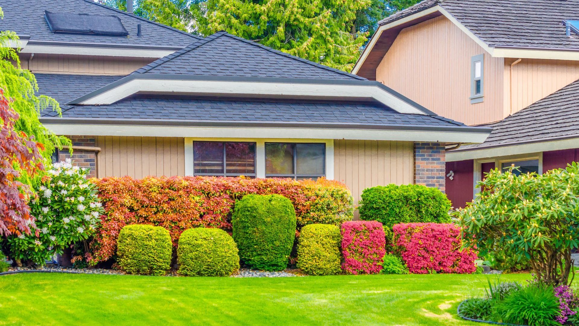 How to Avoid Common Lawn Care Mistakes