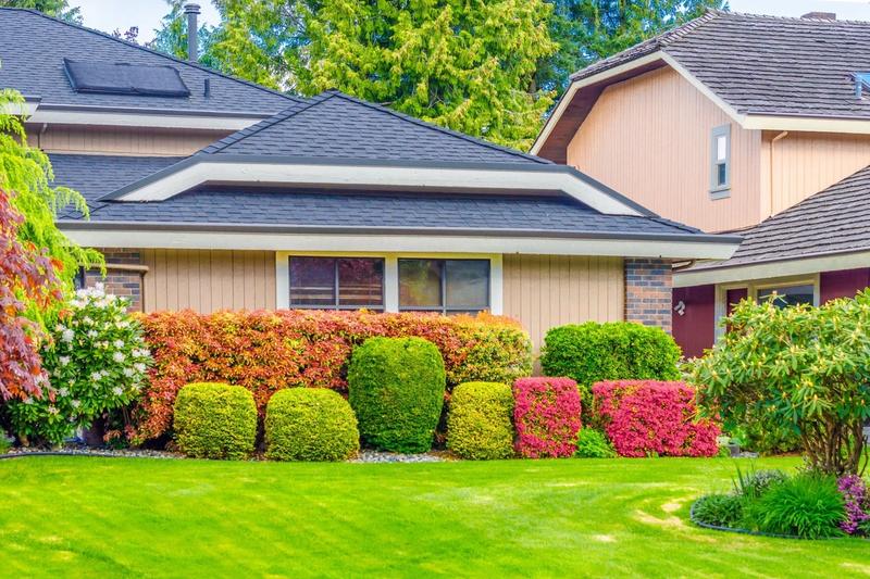 How to Avoid Common Lawn Care Mistakes