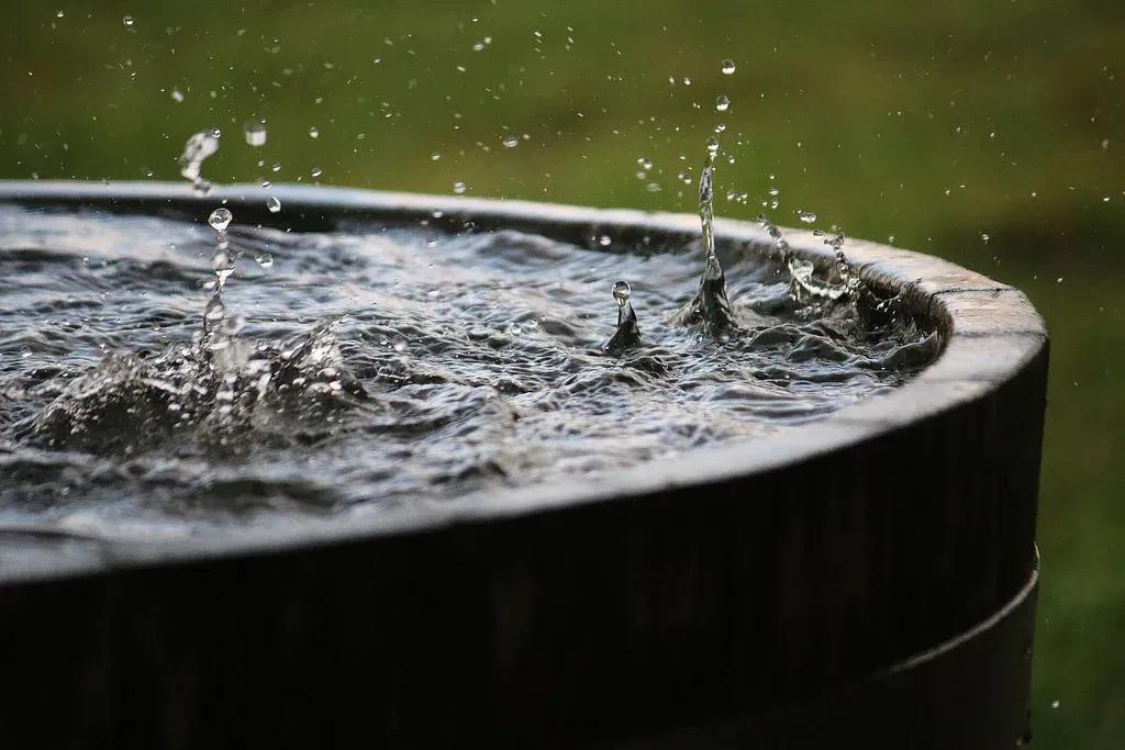 Rainwater Harvesting