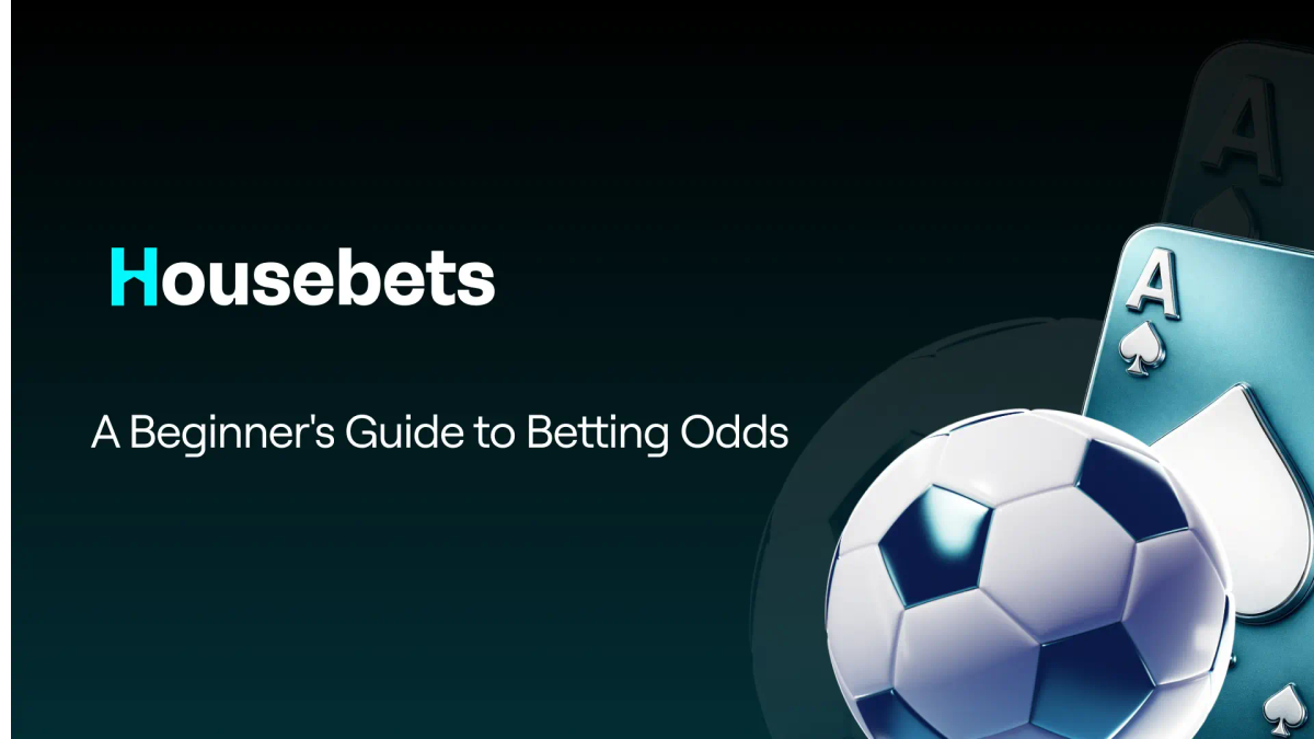 A Beginner's Guide to Understanding Betting Odds