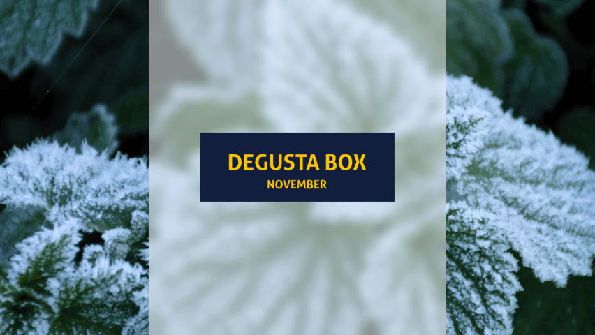 Die Degusta Box ist da! Ein Testbericht zur November Snackbox von Degusta (Bild: unsplash.com/@roiboscht).