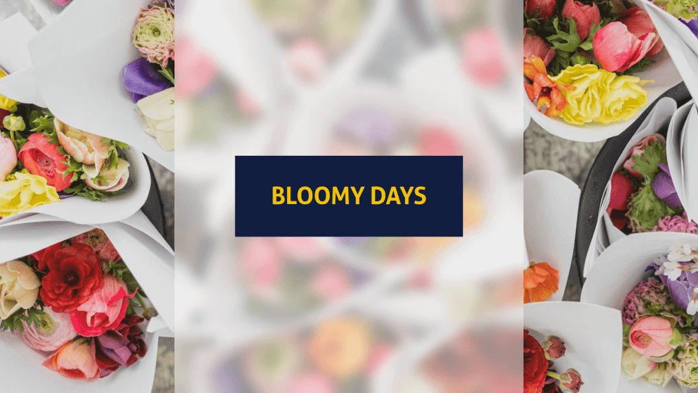 Das Blumenabo von Bloomy Days im Testbericht (Blogthumbnail by Zoe Schaeffer on Unsplash)