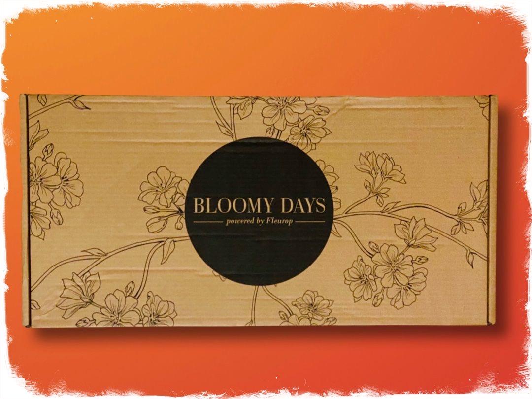 Der Bloomy Days Karton von oben