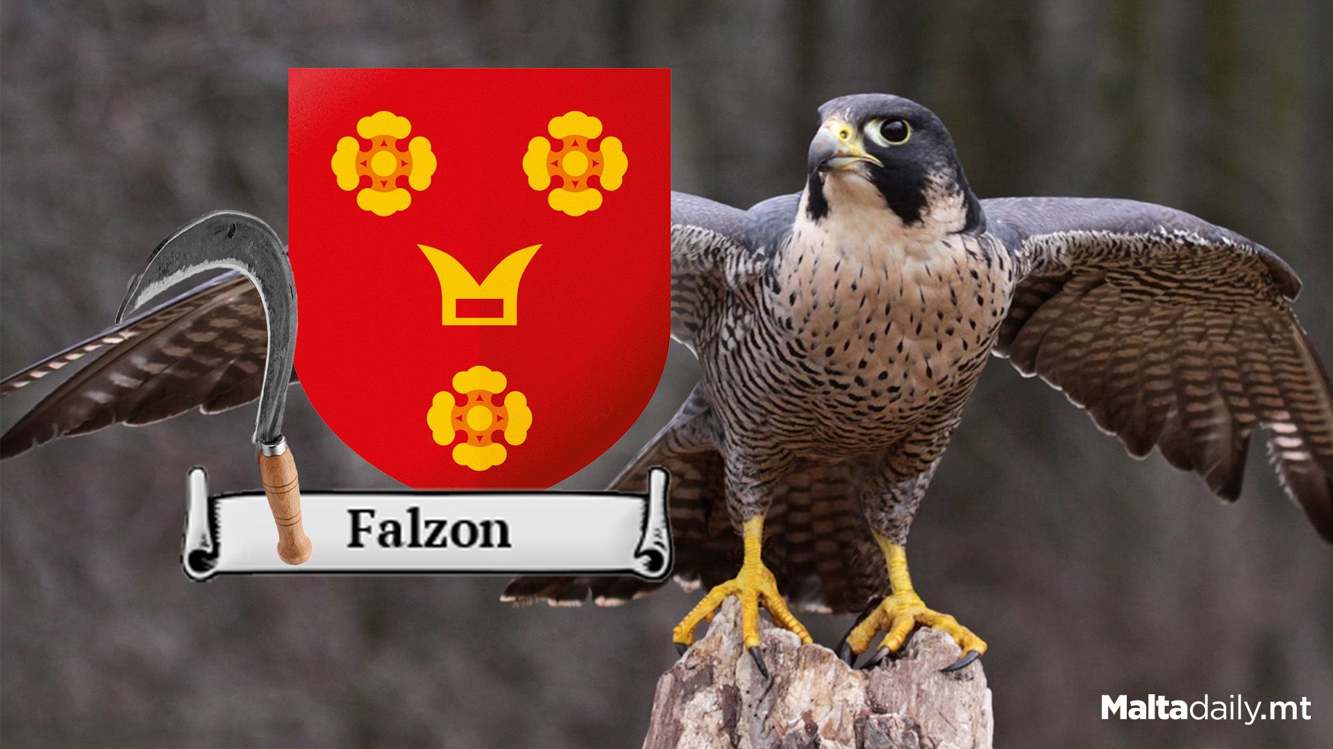 The Meaning and Origin of Falzon