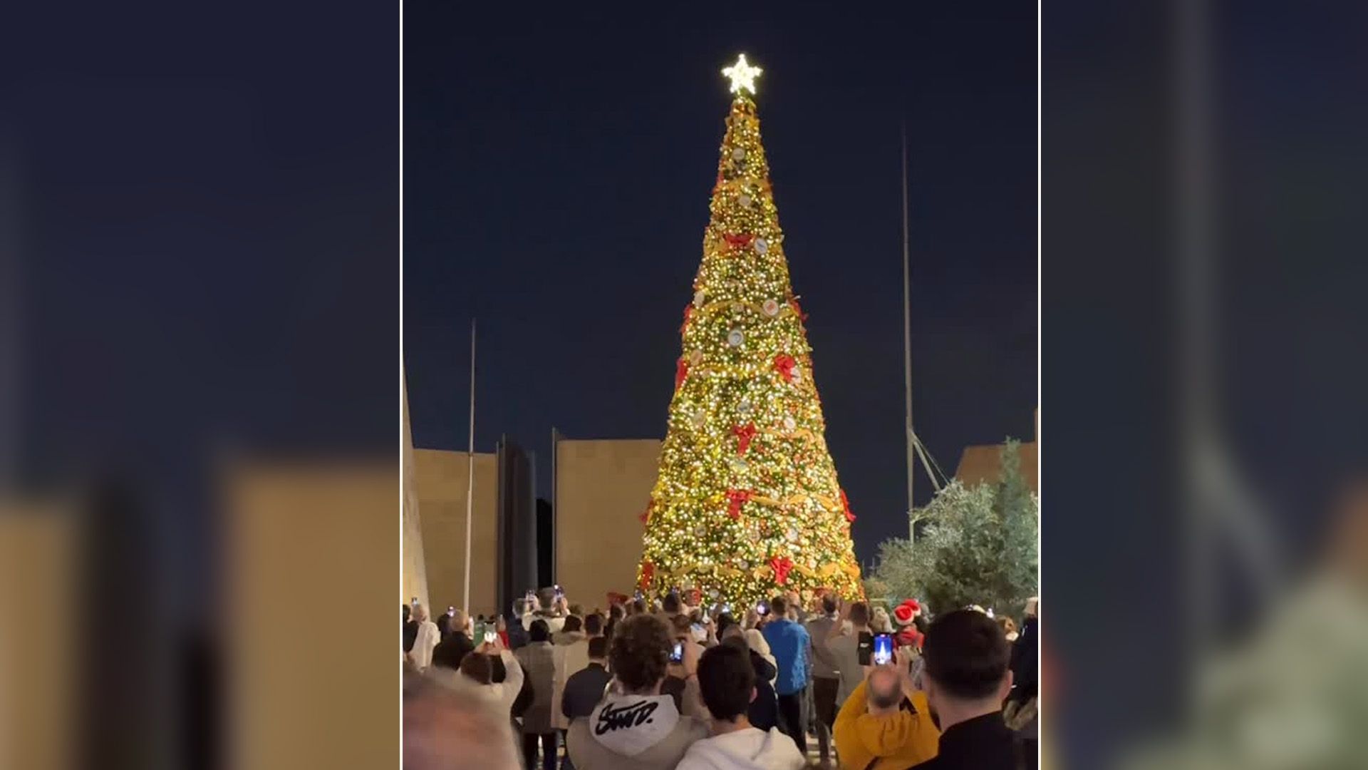 Valletta's Christmas Tree is Now Illuminated!
