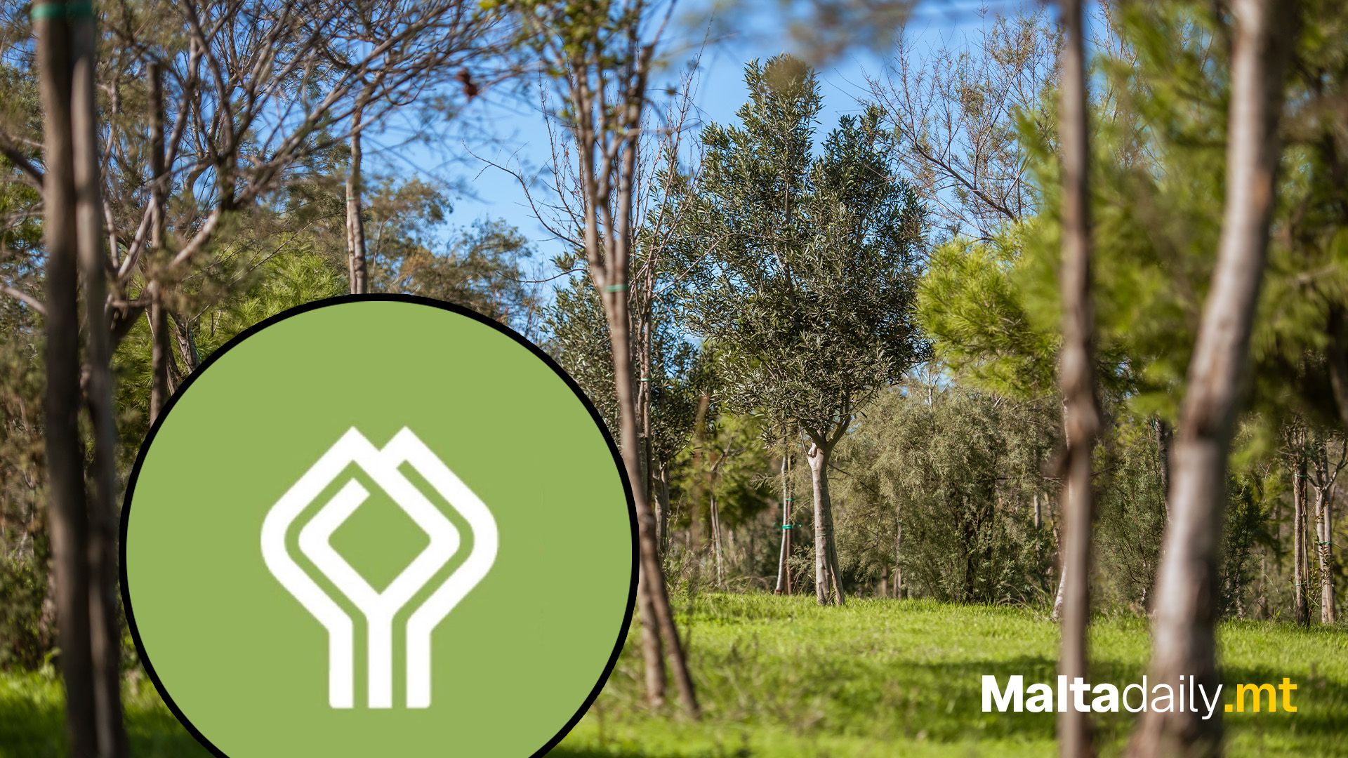 Project Green Project Green Launches Tree-Planting Initiative Across Malt…