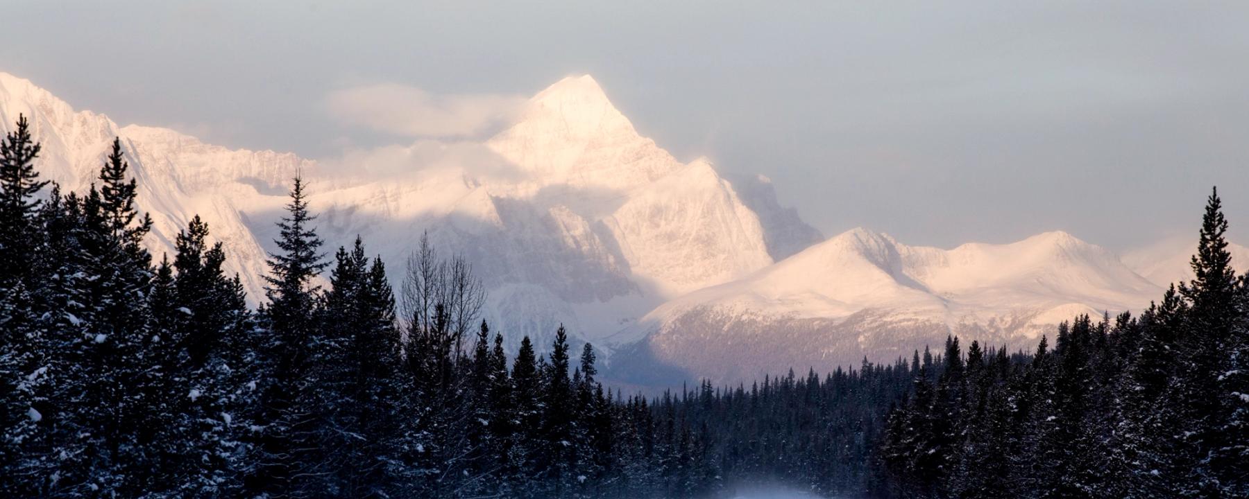 Icefield Parkway