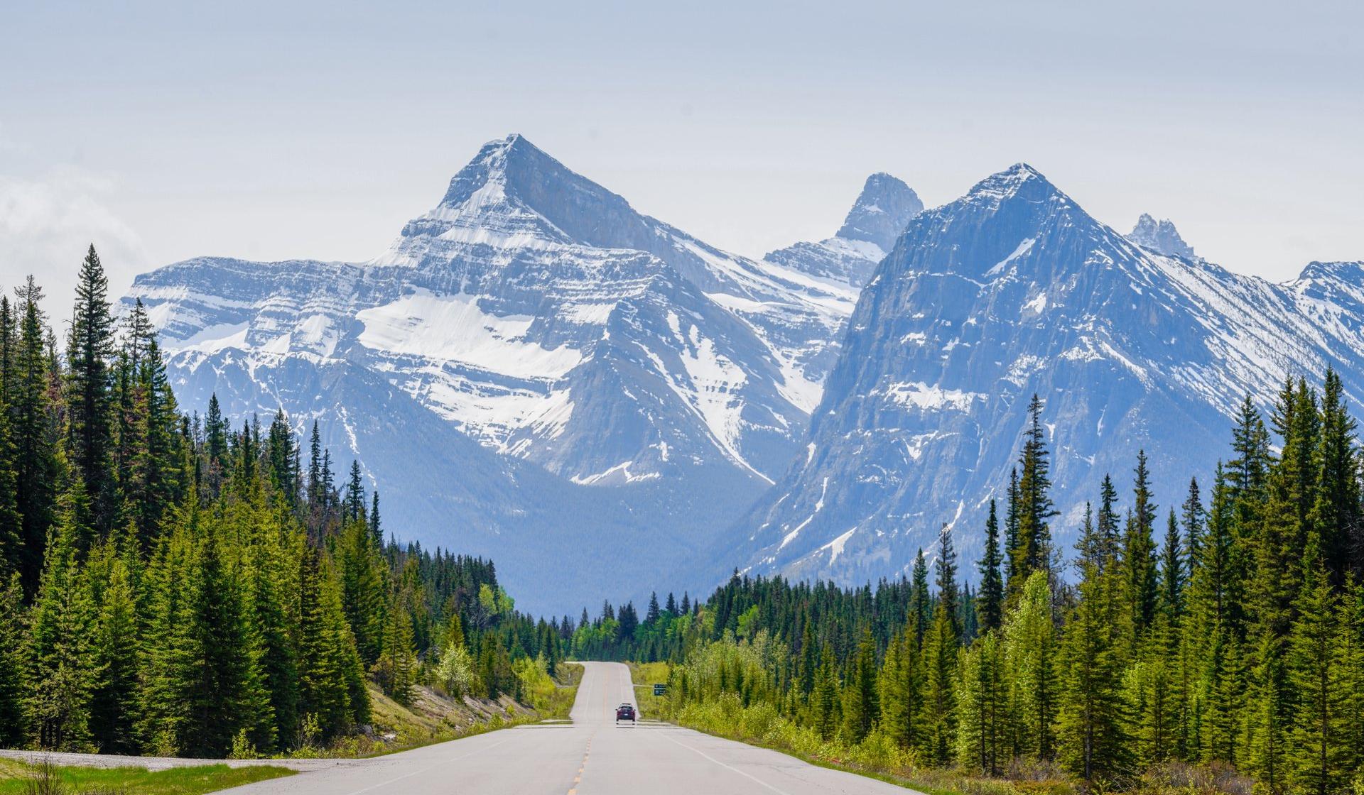 Road Celina Frisson
