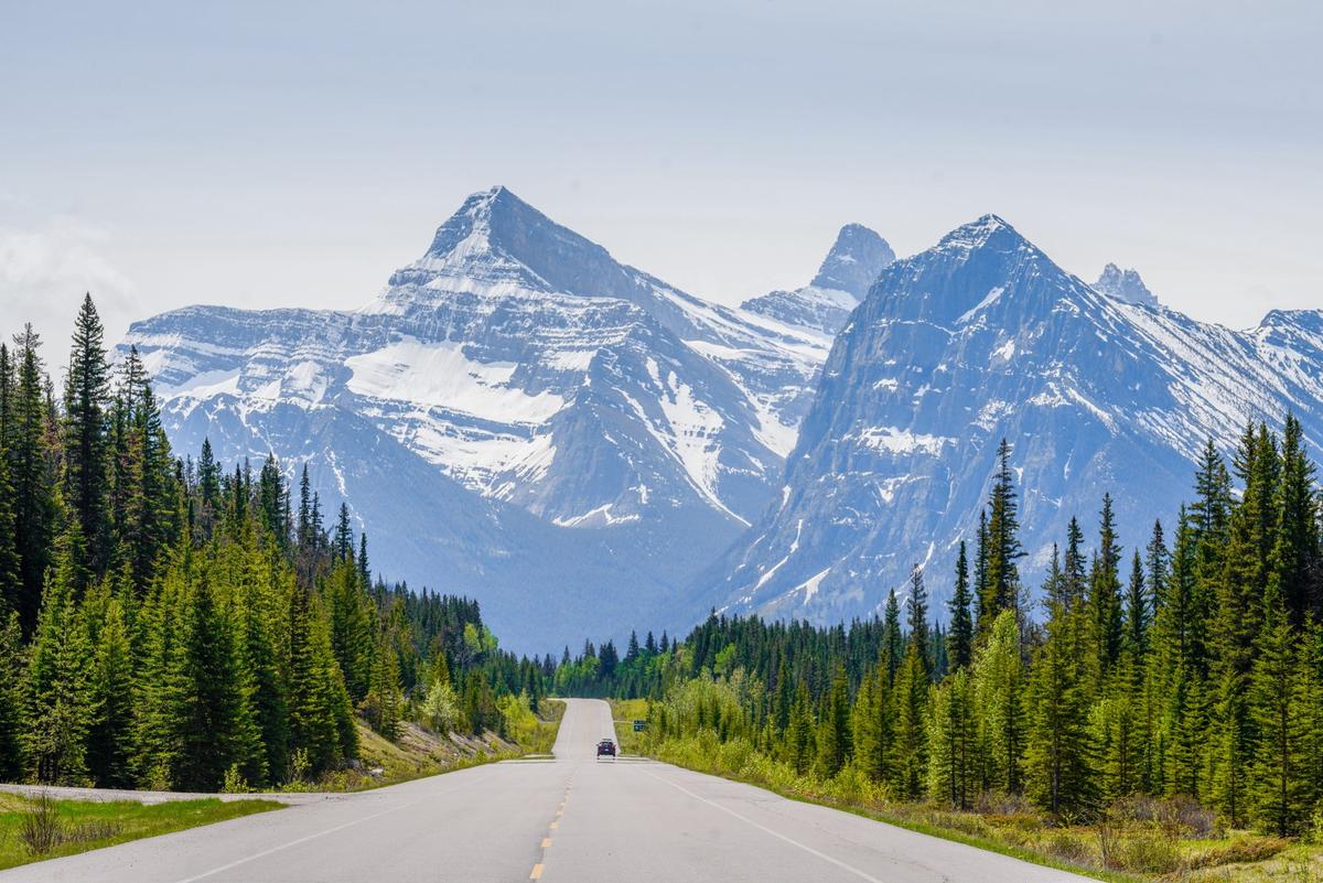 Road Celina Frisson