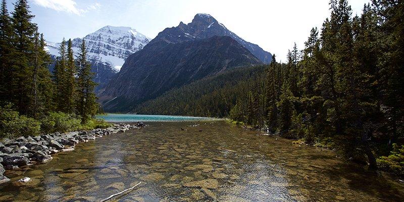 Mountain Stream