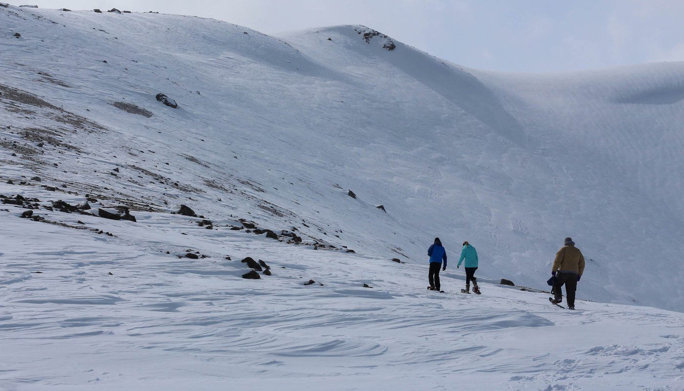 Group Snowshoeing