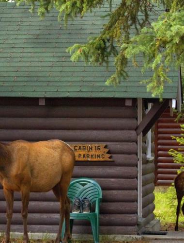 LEED Cabin