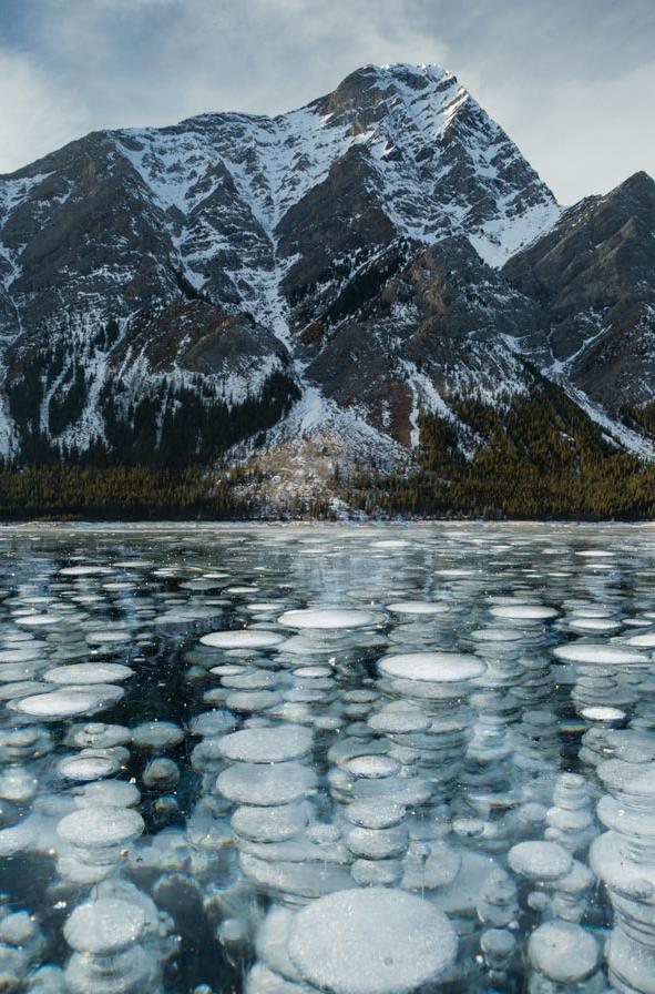 Frozen methane bubbles stacked in columns beneath the clear ice of a lake, with a snow-dusted mountain ridge behind.
