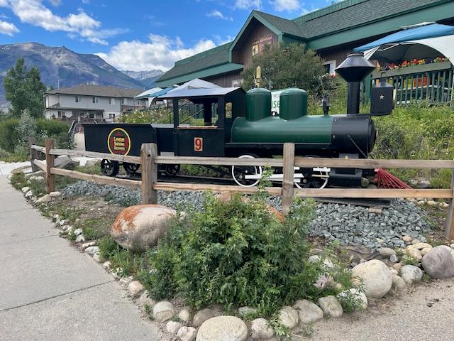 Museum Train