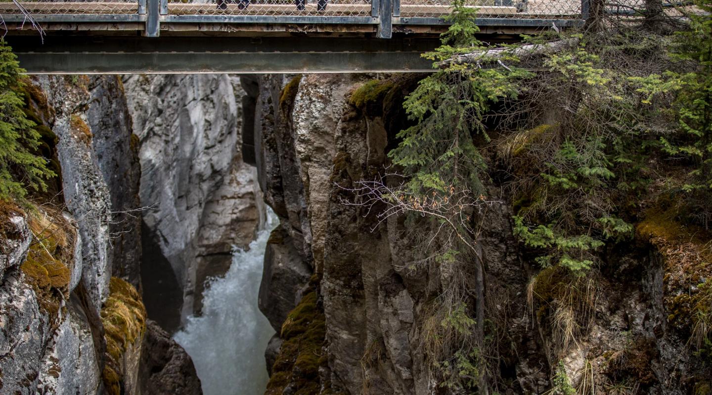 Maligne Canyon