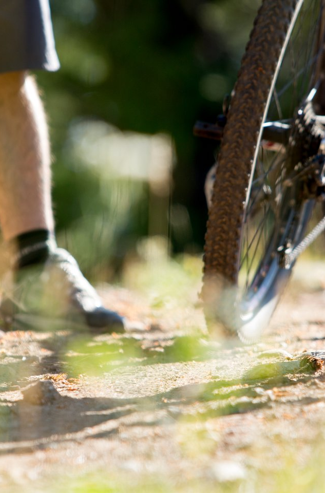Mountain Biking Credit: ParksCanada MountainBikerLegs RyanBray