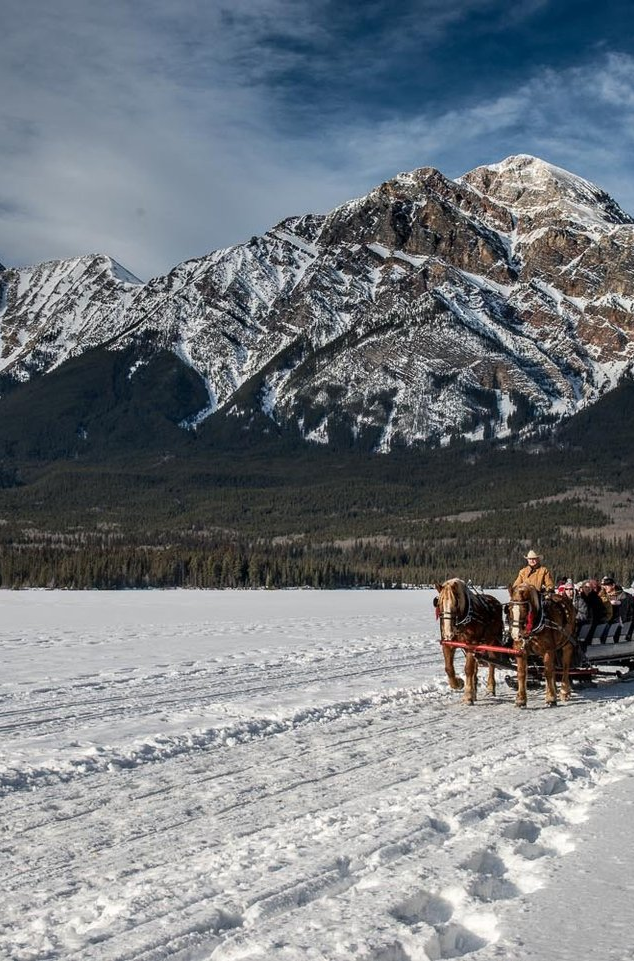 Sleigh Rides Pyramid Lake Jeff Bartlett