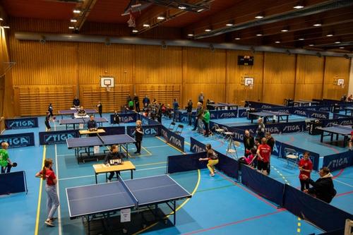 Totalt 31 nybegynnere deltok i 3 klasser - inkludert en egen jenteklasse for nybegynnere!