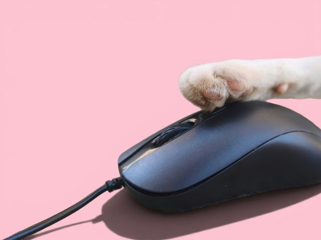 Zero-click search: how to stay visible when nobody clicks