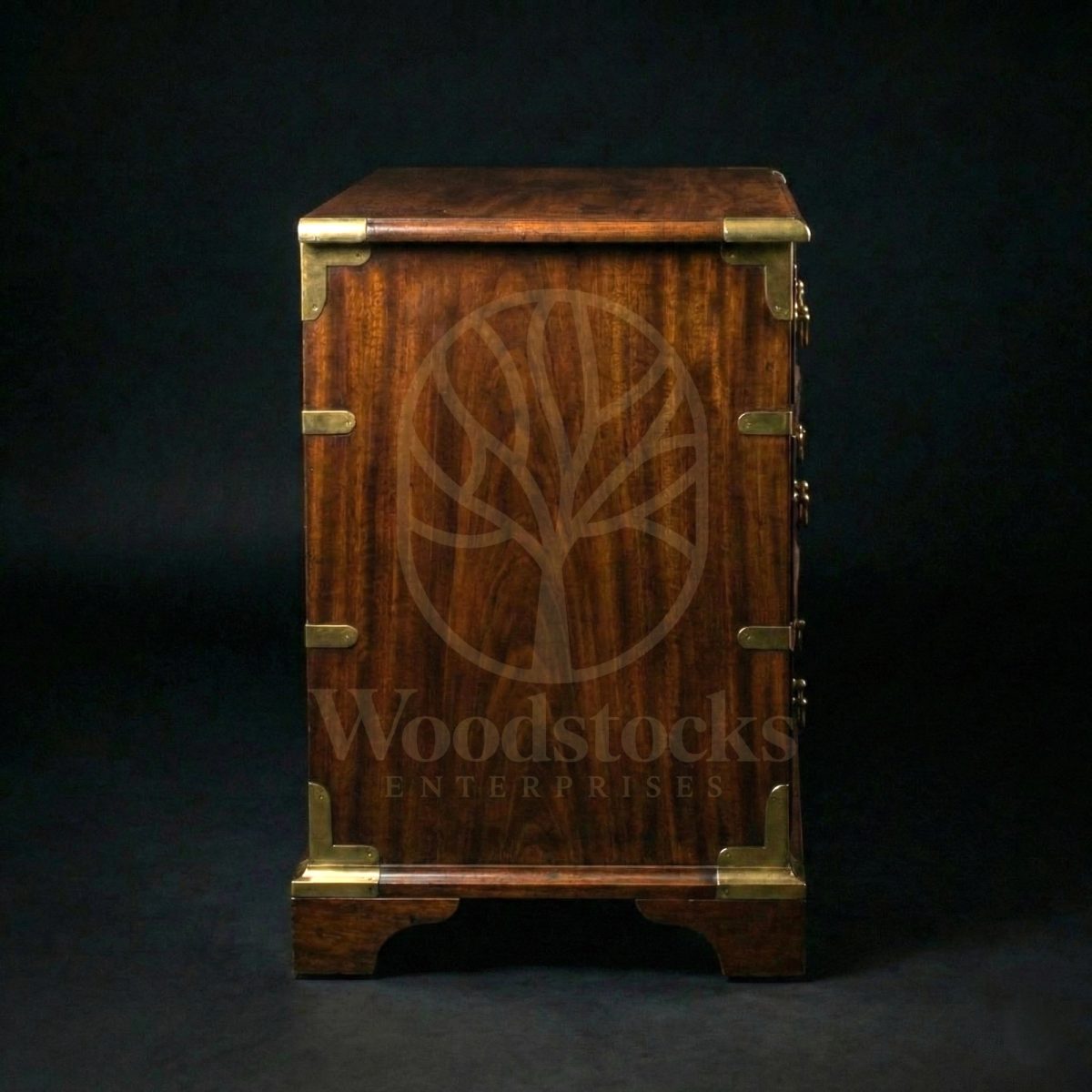 Luxury Teak Madras Armoury Chest, Saharanpur, view 2
